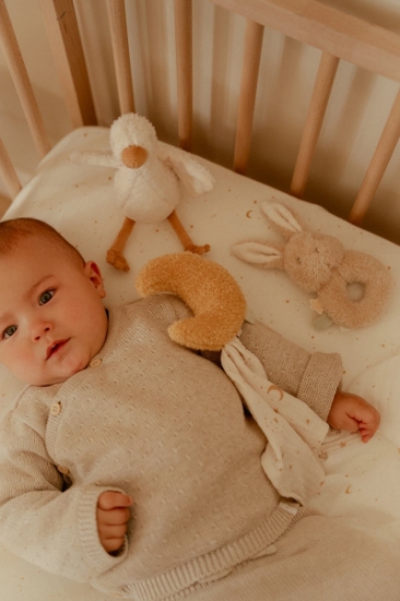 Slika Poklon set Newborn Naturals - Little Dutch