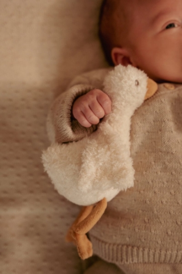 Slika Poklon set Newborn Naturals - Little Dutch