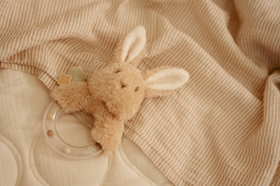 Slika Zvečka Newborn Naturals - Little Dutch