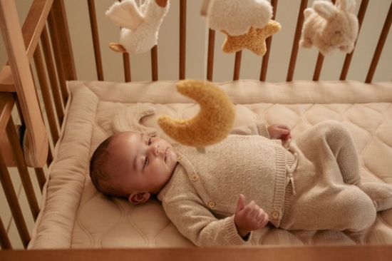 Slika Glazbeni vrtuljak Newborn Naturals - Little Dutch