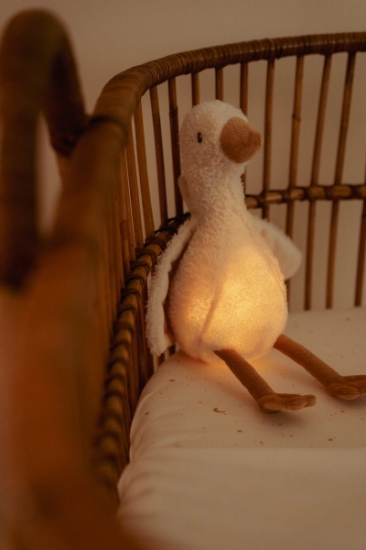 Slika Noćno svjetlo za crtanje Little Goose - Little Dutch