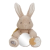 Slika Igračka za aktivnosti Baby Bunny - Little Dutch