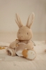 Slika Igračka za aktivnosti Baby Bunny - Little Dutch
