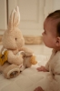 Slika Igračka za aktivnosti Baby Bunny - Little Dutch