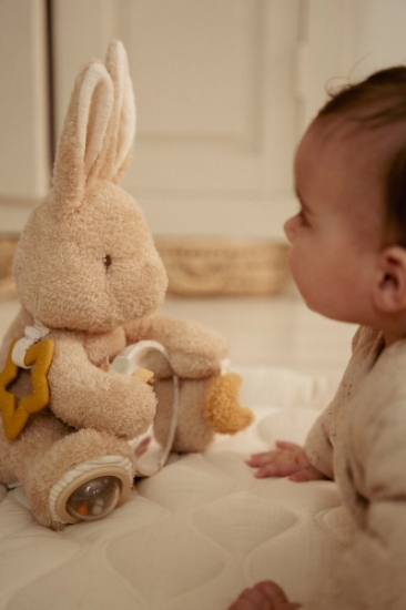 Slika Igračka za aktivnosti Baby Bunny - Little Dutch