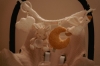 Slika Didaktička traka Newborn Naturals - Little Dutch