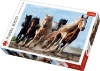 Slika Puzzle 1000 kom, konji u galopu 10446 TREFL 