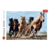 Slika Puzzle 1000 kom, konji u galopu 10446 TREFL 