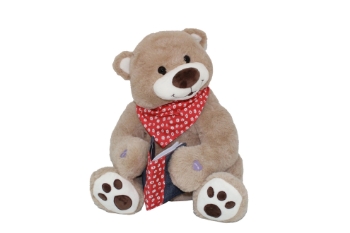 Slika Pliš interaktivni Medo Pričalica 89512 DIMIAN 