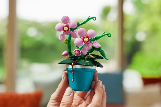 Slika Kocke Max Garden Pot 83183 ZURU 