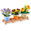 Slika Kocke Max Garden Pot 83183 ZURU 