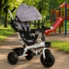 Slika Tricikl s okretnim sjedalom 360 s bijelom konstukcijom, siva Ecotoys 