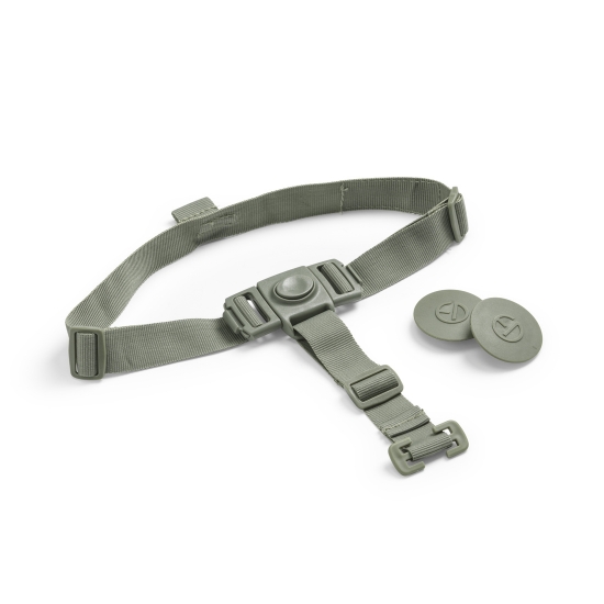 Slika Stolica za hranjenje Grace, Hazy Jade - Elodie