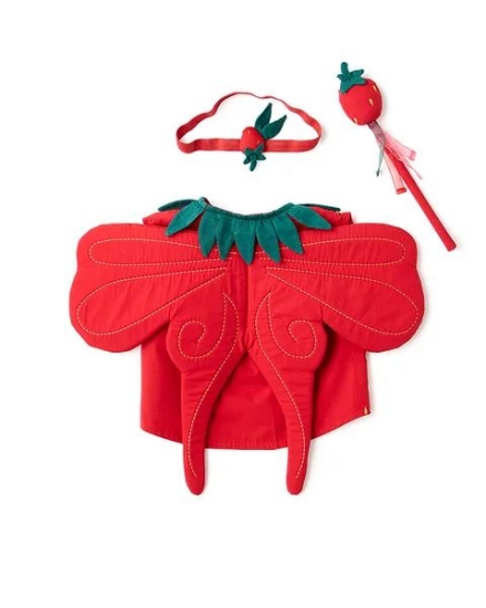 Slika Kostim, Strawberry Fairy - Kid's Concept