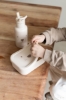 Slika Boca za vodu Beary Excited 350 ml - Beige Kidzroom 