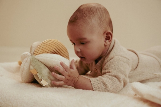 Slika Aktivna plišana loptica Newborn Naturals - Little Dutch