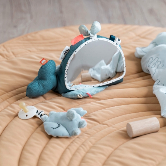 Slika Aktivna igračka s ogledalom - Wally Blue