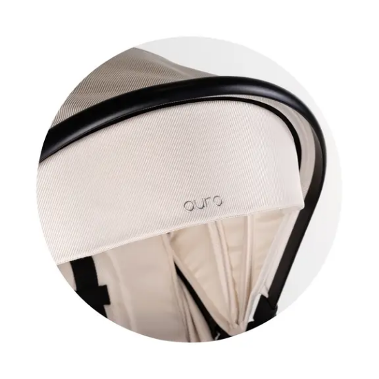 Slika Kolica Aura Biscotta Chipolino 