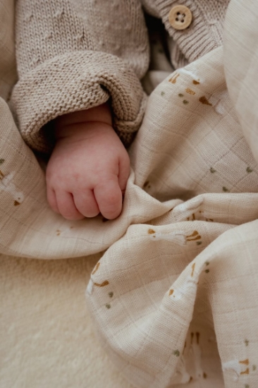 Slika Pamučna pelena muslin Little Goose 120x120 - Little Dutch