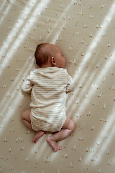 Slika Dekica Little Goose 70x100 - Little Dutch