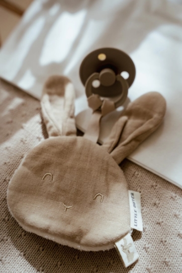 Slika Zec za dudu - Little Dutch