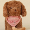 Slika Pas Jackie u torbi - Little Dutch