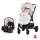 Kolica Ultera 2u1 Biscotta Chipolino 