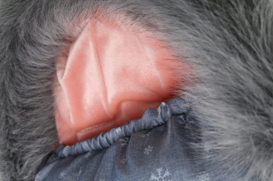 Slika Zimska vreća BABYMAM 