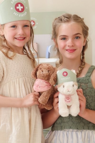 Slika Drvena veterinarska ordinacija - Little Dutch