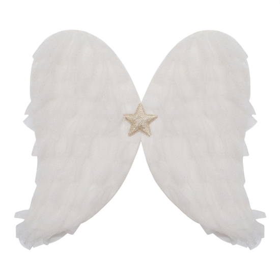 Slika Krila - Anđeo