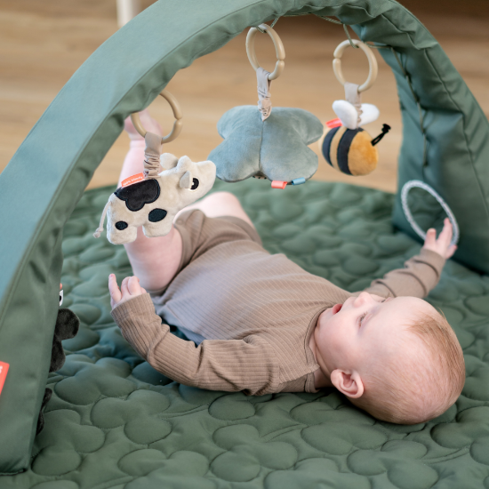 Slika Aktivni luk za igru - Tiny farm Green