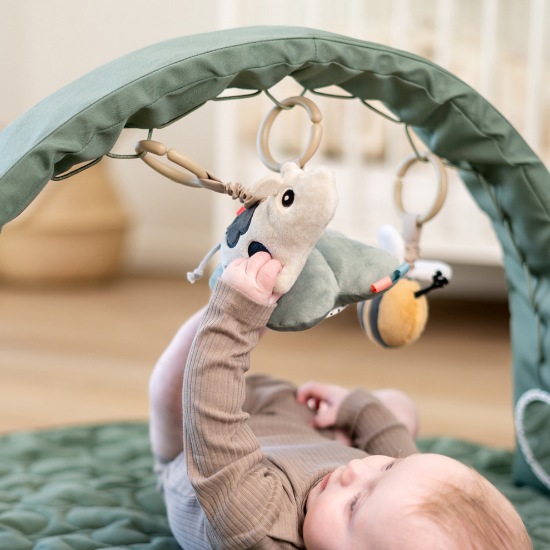 Slika Aktivni luk za igru - Tiny farm Green