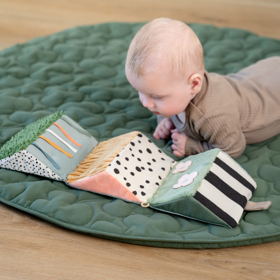 Slika Aktivno ogledalo - Tiny farm