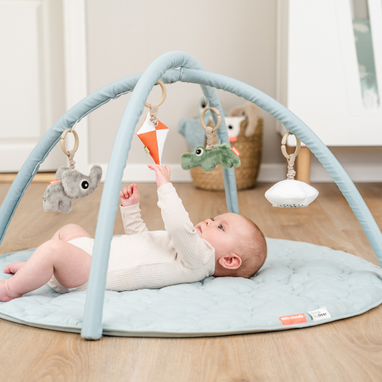 Slika Baby gym - Playground Blue
