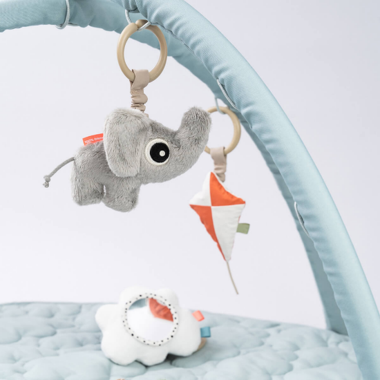 Slika Baby gym - Playground Blue