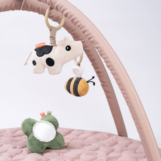 Slika Baby gym - Tiny farm Powder