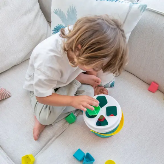 Slika Kantica za sortiranje Turquoise Shape Miniland 