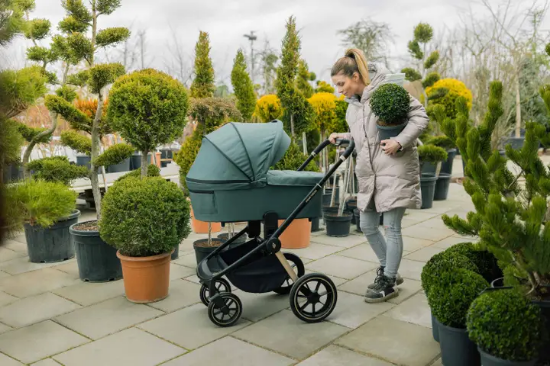 Slika Košara Move XL Antique Green Zopa 