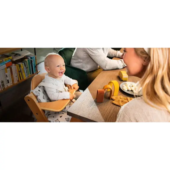 Slika Umetak za hranilicu Pad Deluxe Nordic Grey - Hauck