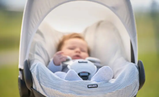 Slika Univerzalni jastučići za pojaseve Linea - Dooky