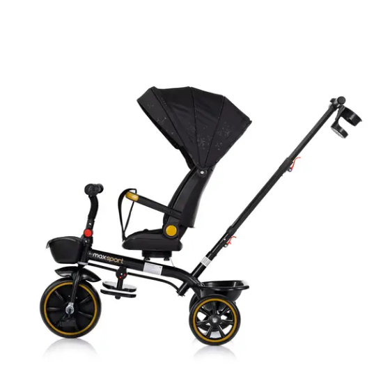 Slika Tricikl Max Sport Blackberry Chipolino 