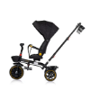 Slika Tricikl Max Sport Blackberry Chipolino 