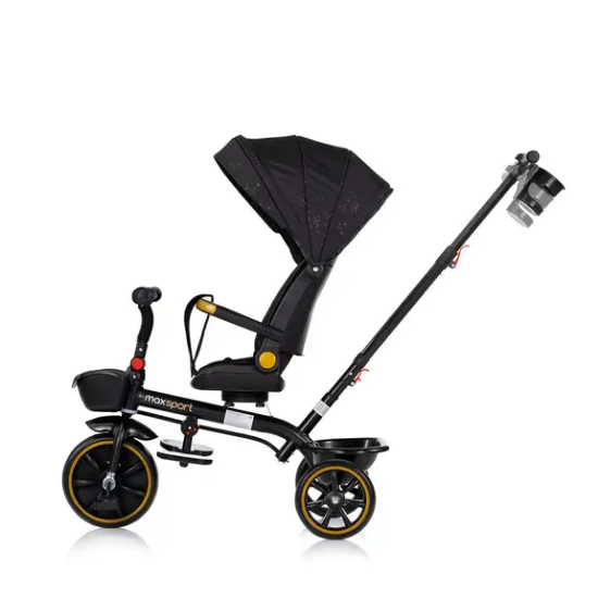 Slika Tricikl Max Sport Blackberry Chipolino 