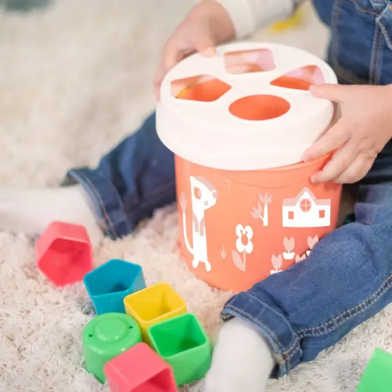 Slika Miniland kantica za sortiranje Salmon Shape