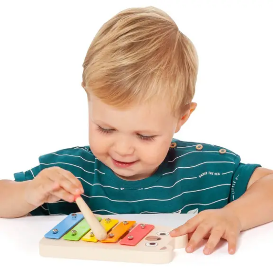 Slika Glazbeni set - Molto