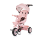 Tricikl Marathon - Flamingo Chipolino 
