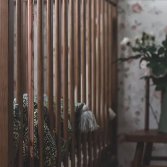 Slika Krevetić Stardust Cot vintage - Woodies