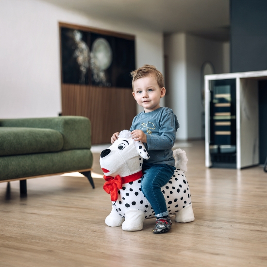 Slika Skakalica životinja s plišanom navlakom psić 86250 FREE 2 PLAY 