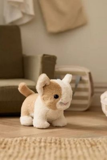 Slika Veterinarski set, plišana maca i torba za nošenje - Kid's Concept