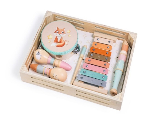 Slika Set glazbenih instrumenata za djecu – životinje